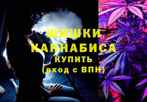 гидра Абаза