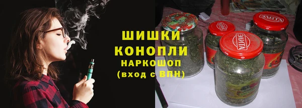 гидра Абаза