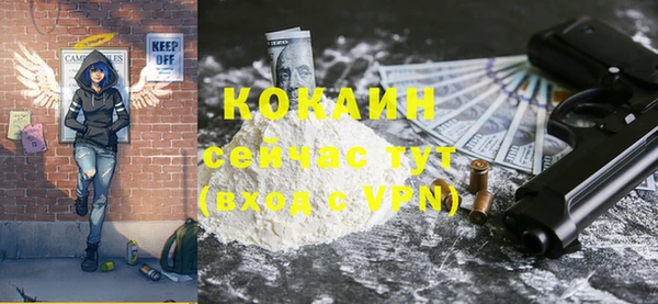 гидра Абаза
