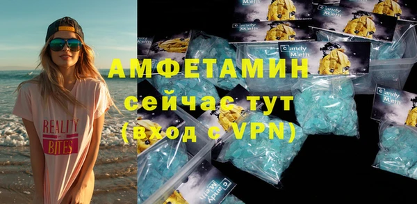 гидра Абаза
