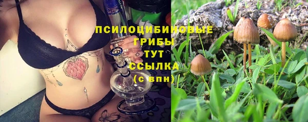 таблы Михайловск