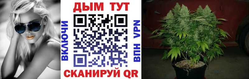 Канабис OG Kush  Юрюзань 